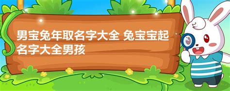 兔年取名字|2023兔年男宝宝取名起名字大全：沉稳霸气的男孩名。